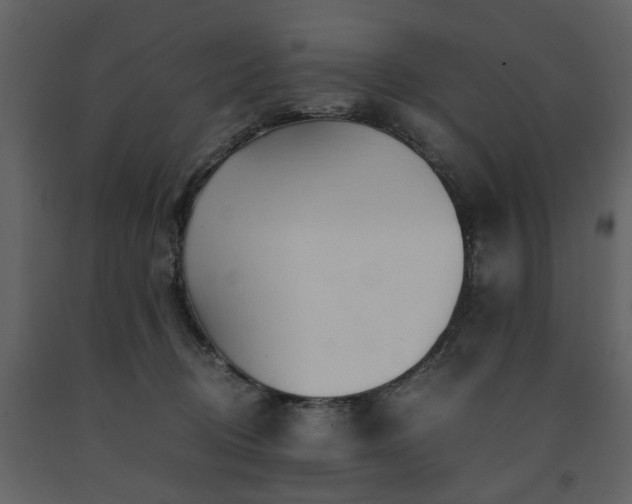 X0000091680370200708231422