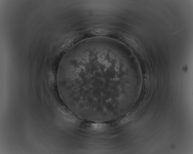 X0000091680371200708231422