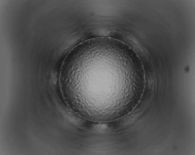 X0000091680374200708231422