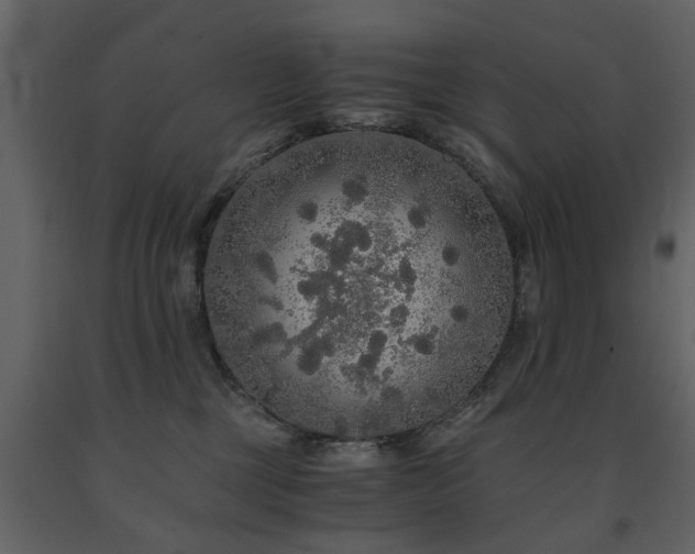X0000091680377200708231423