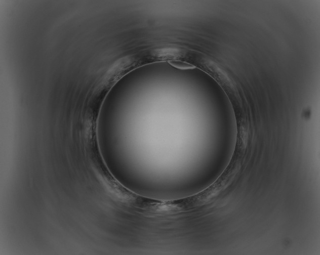 X0000091680379200708231423