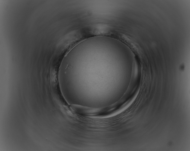 X0000091680380200708231423