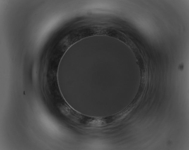 X0000091680383200708231423