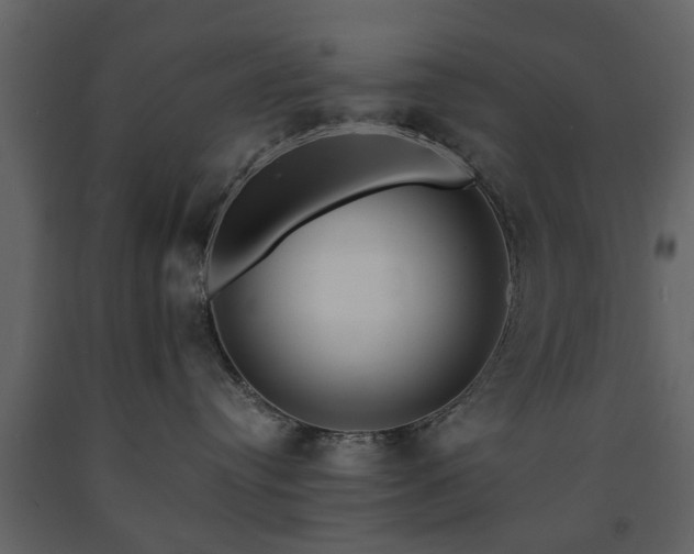 X0000091680384200708231423