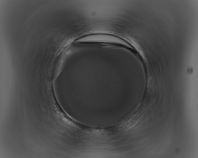 X0000091680385200708231422