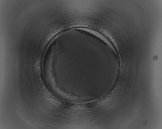 X0000091680386200708231422