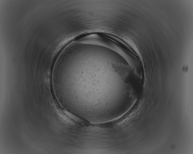 X0000091680389200708231422