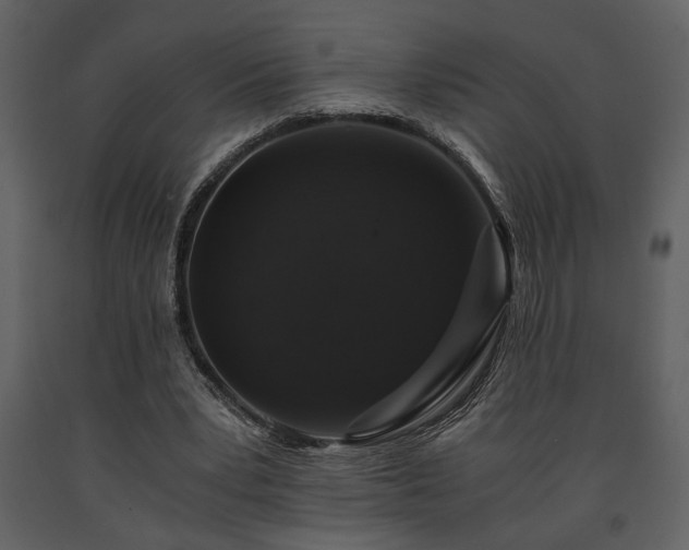 X0000091680391200708231422