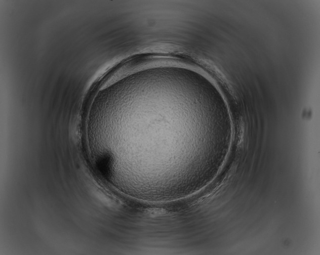 X0000091680392200708231422