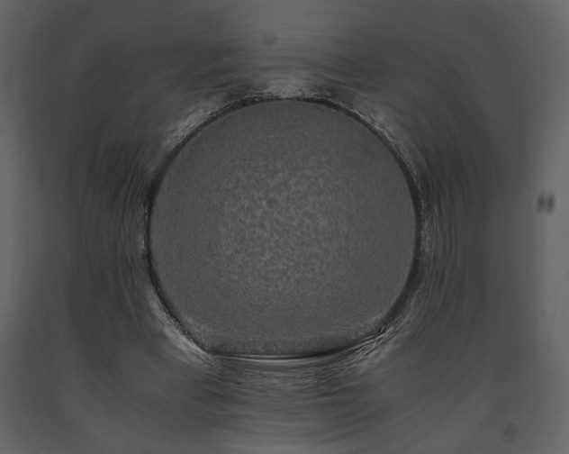 X0000091680393200708231422
