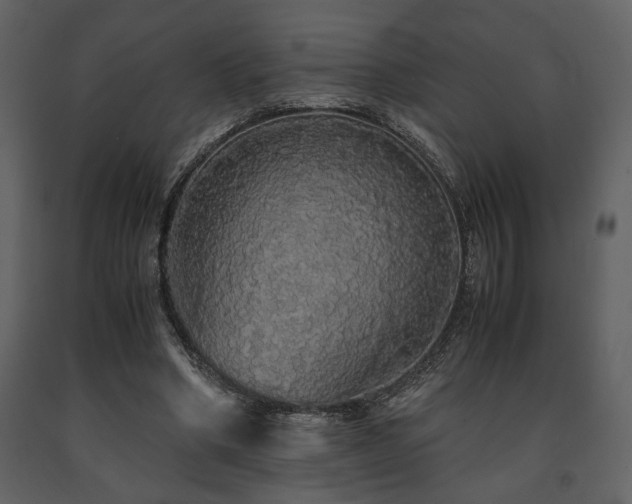 X0000091680394200708231422