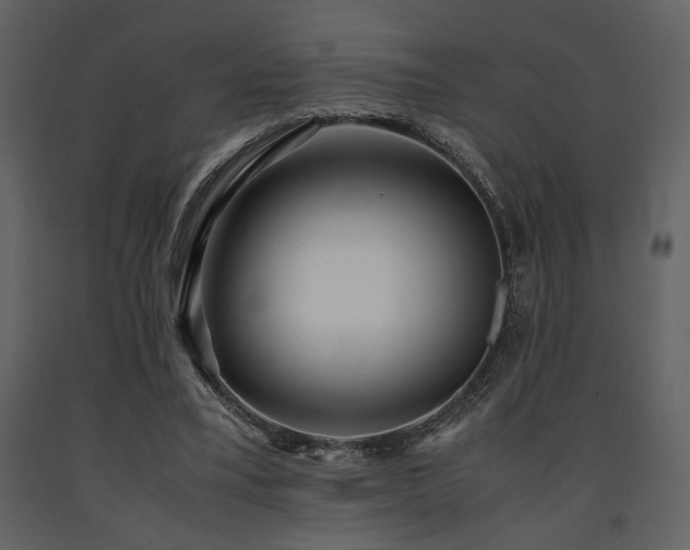 X0000091680395200708231422