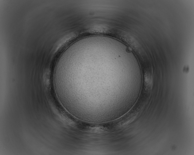 X0000091680396200708231422