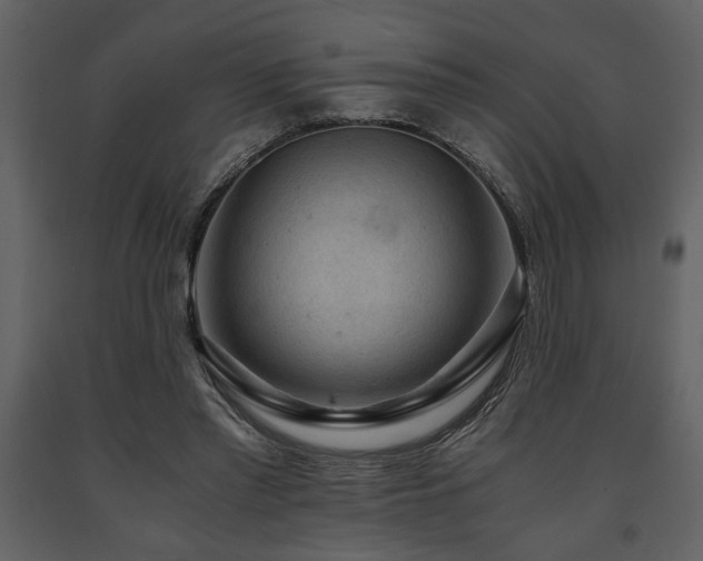 X0000091680397200708231422
