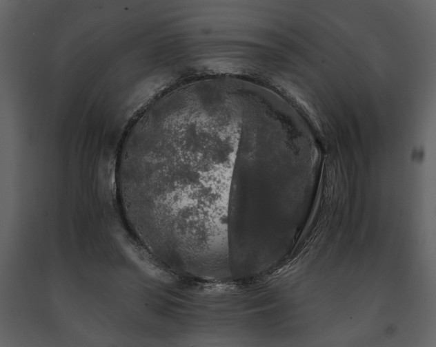 X0000091680398200708231422