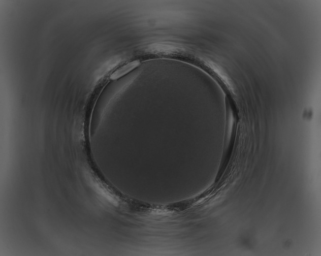 X0000091680399200708231422