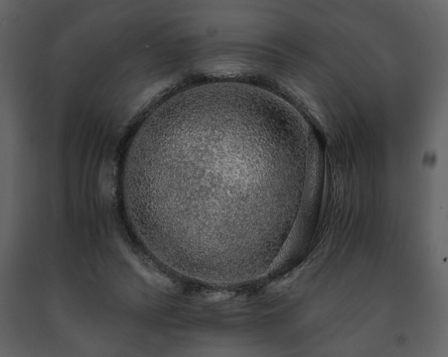 X0000091680400200708231422