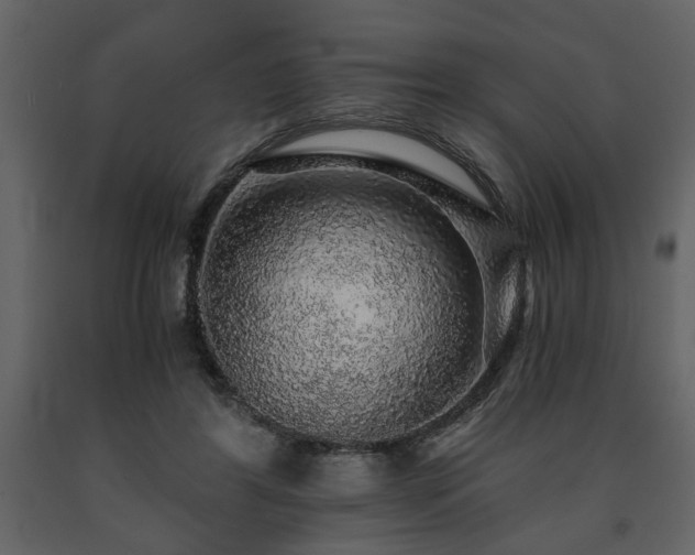 X0000091680404200708231422