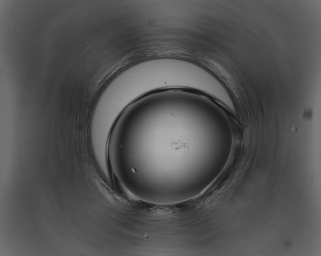X0000091680405200708231422