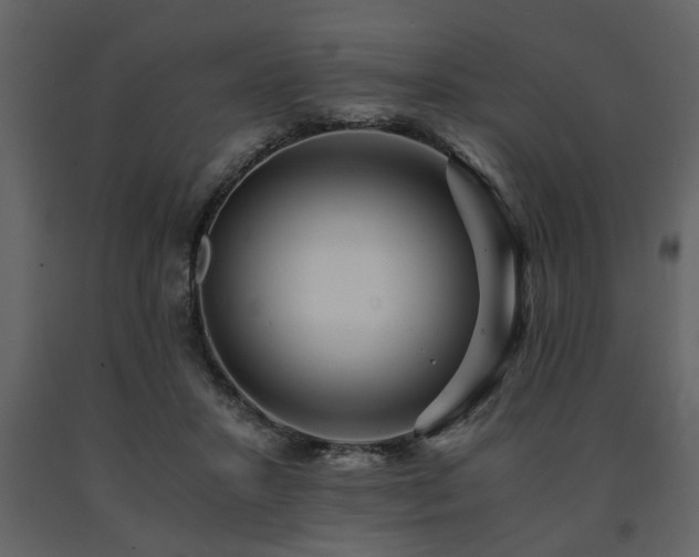X0000091680407200708231422