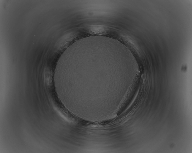 X0000091680408200708231422