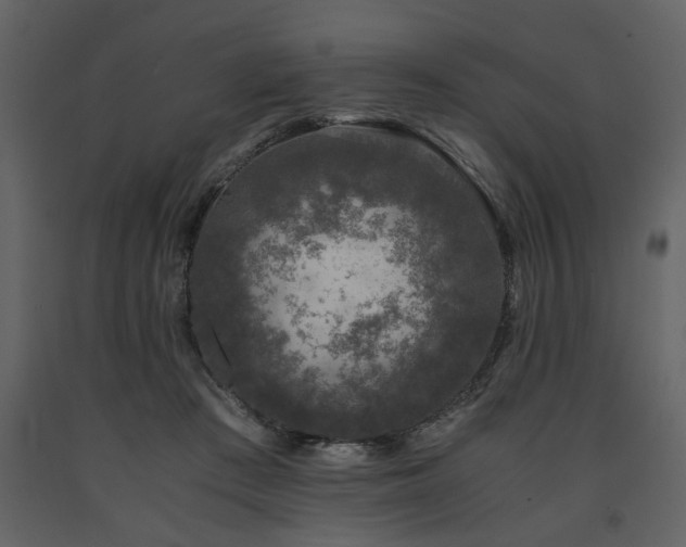 X0000091680409200708231422