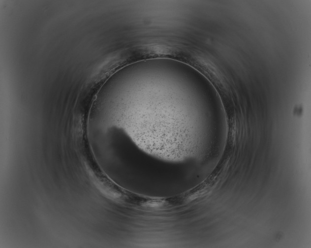 X0000091680410200708231422