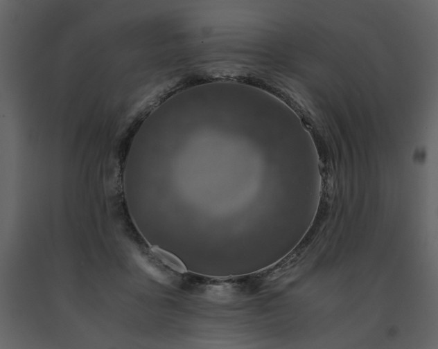 X0000091680411200708231422