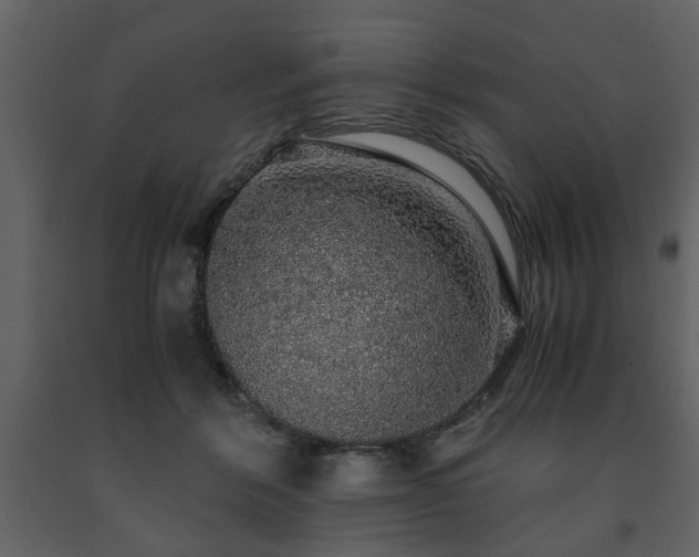 X0000091680412200708231422
