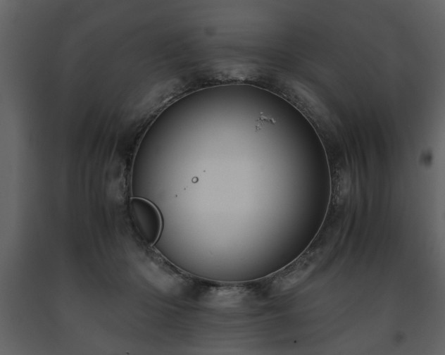 X0000091680414200708231422