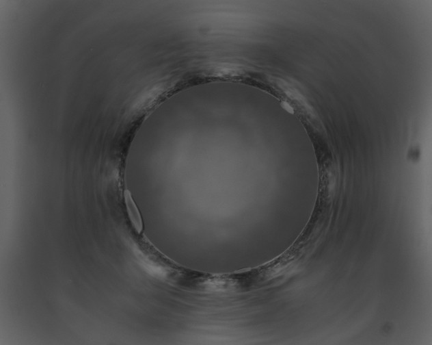 X0000091680415200708231422