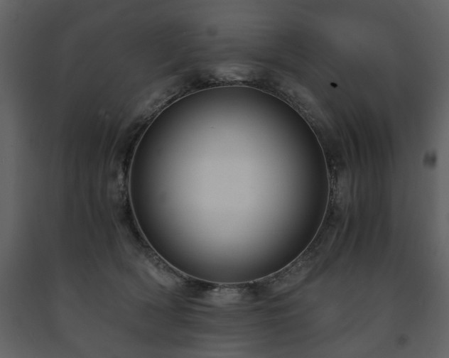 X0000091680418200708231422