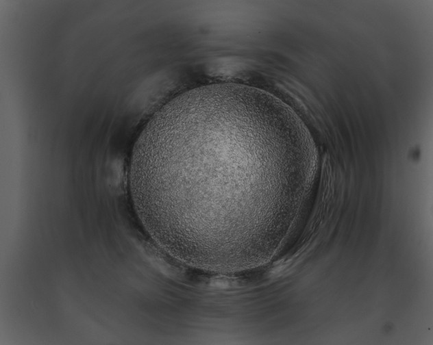 X0000091680420200708231421