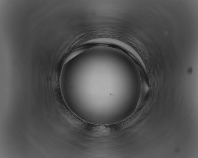 X0000091680421200708231421