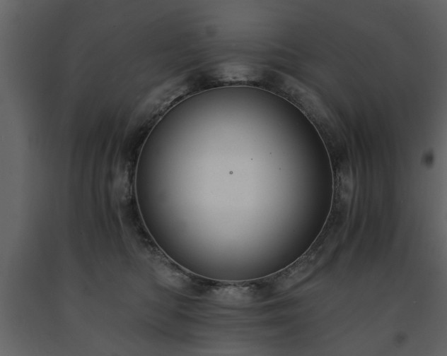 X0000091680422200708231421