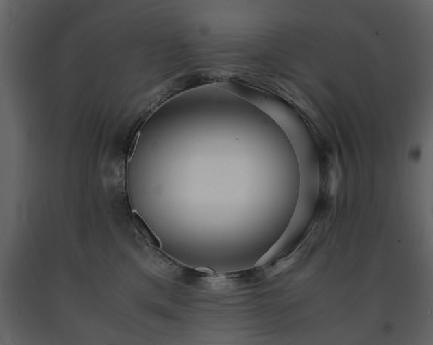 X0000091680425200708231421