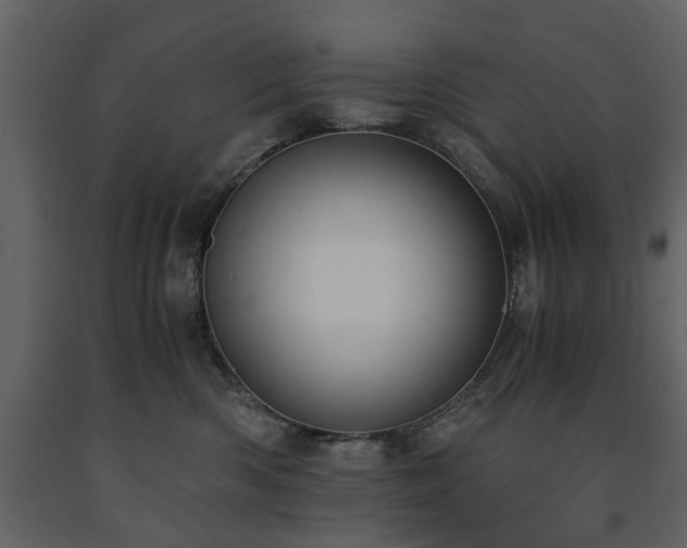 X0000091680426200708231421