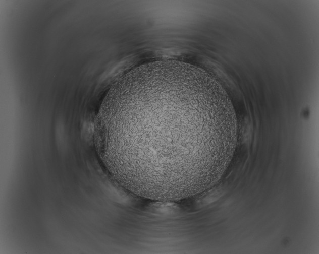 X0000091680427200708231421