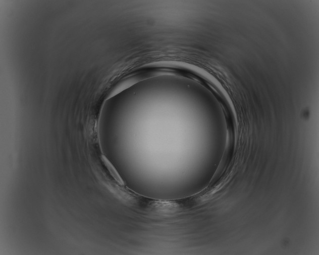 X0000091680429200708231421