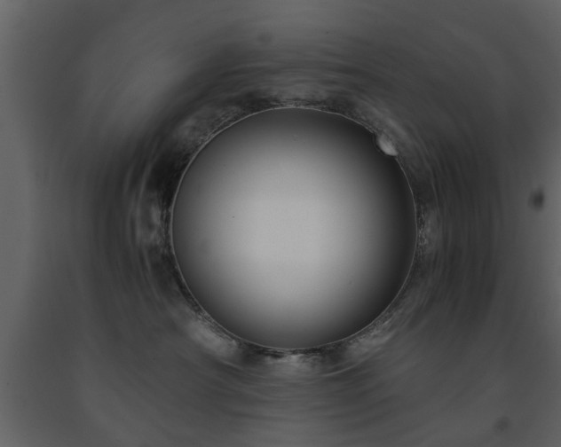 X0000091680430200708231421