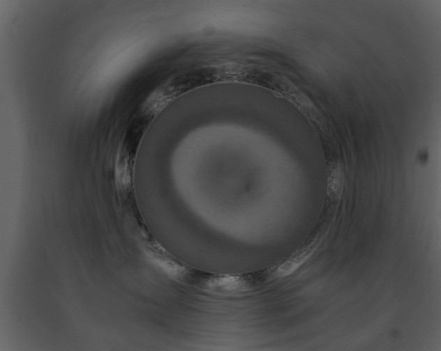 X0000091680431200708231421