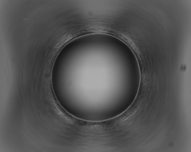 X0000091680433200708231420