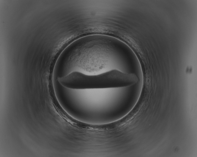 X0000091680434200708231420