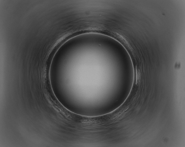 X0000091680435200708231421