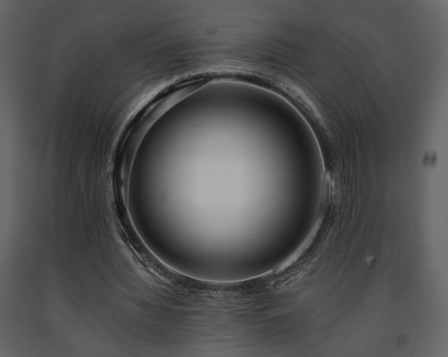 X0000091680436200708231421