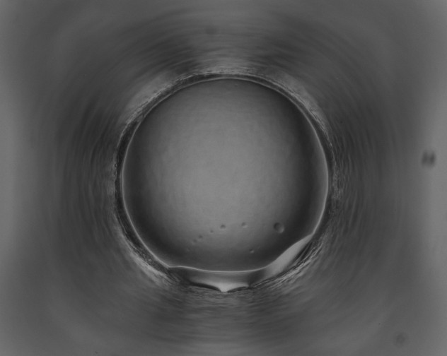 X0000091680437200708231421