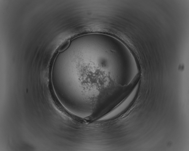 X0000091680438200708231421