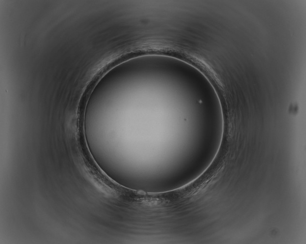 X0000091680439200708231421