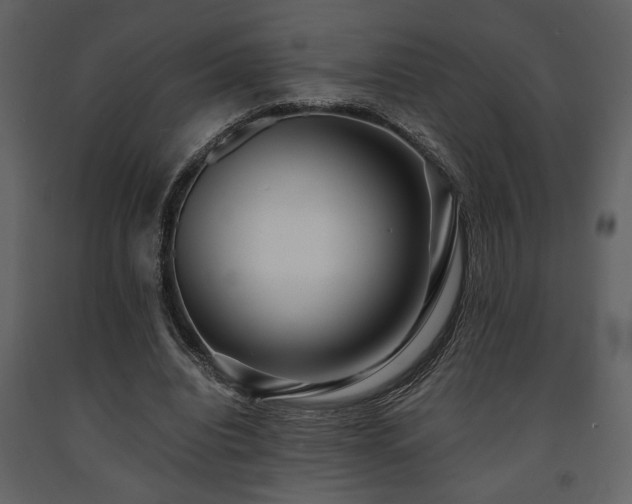 X0000091680440200708231421