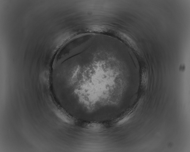 X0000091680444200708231421